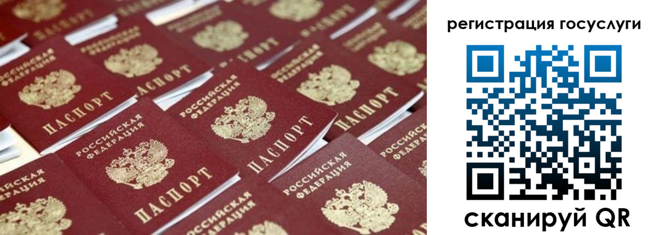 прописка ребенка в Тереке